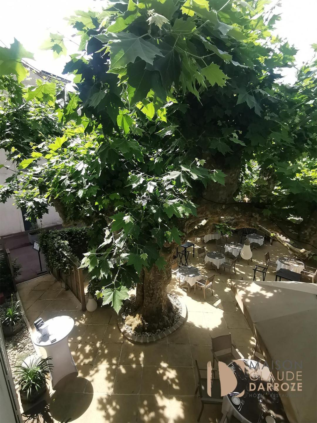 Logis Hotel - Restaurant Maison Claude Darroze Langon  Ngoại thất bức ảnh