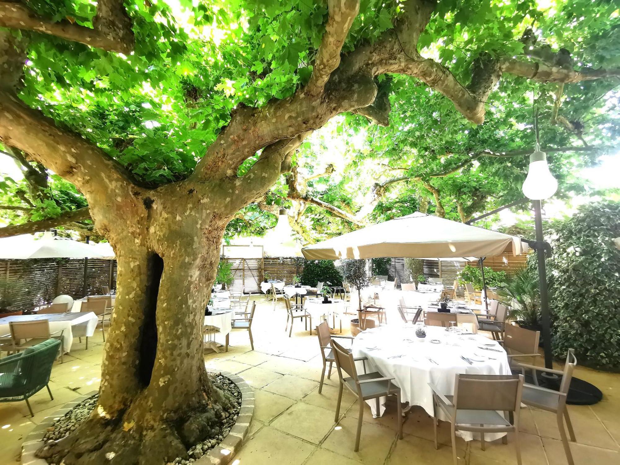 Logis Hotel - Restaurant Maison Claude Darroze Langon  Ngoại thất bức ảnh